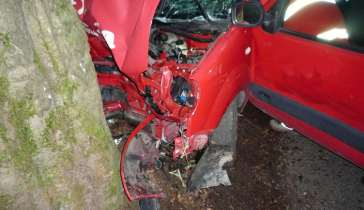 Řidička s autem narazila do stromu.