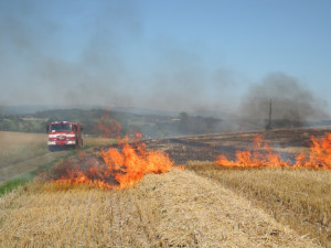 FOTO: Jiskry od elektrického vedení způsobily požár pole