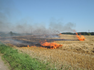 Jiskry od elektrického vedení způsobily požár pole.