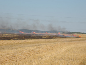 Jiskry od elektrického vedení způsobily požár pole.