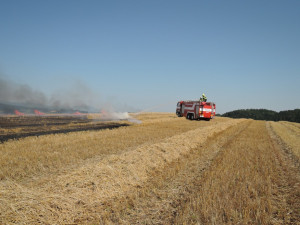 Jiskry od elektrického vedení způsobily požár pole.