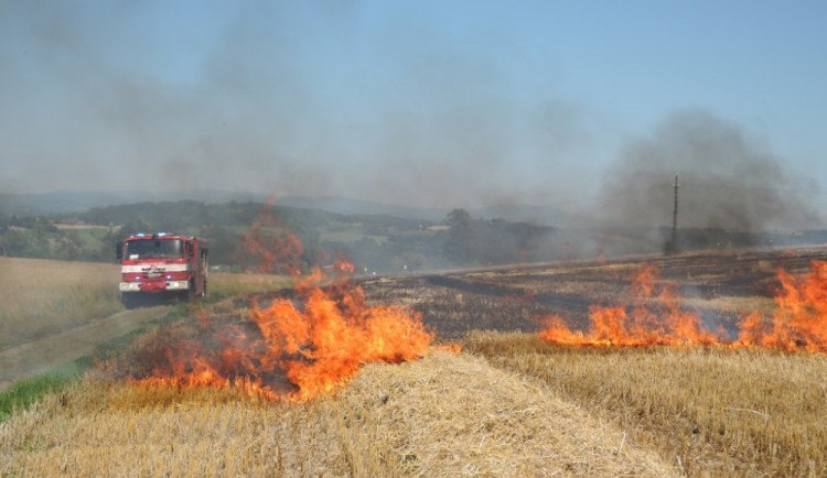 Jiskry od elektrického vedení způsobily požár pole.