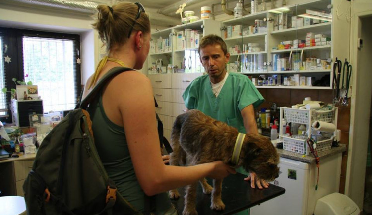 Bárt společně s majitelkou.