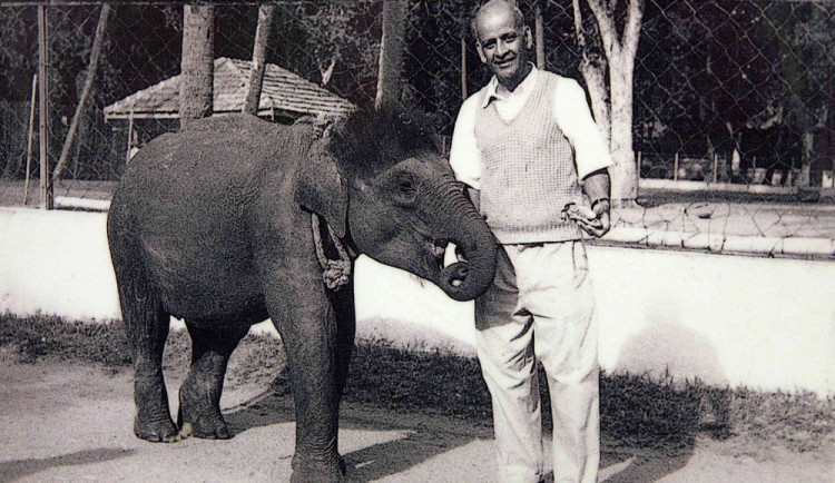 Slonice Rání ještě jako mládě před cestou do Liberce.