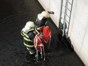 Nutrii vytáhli z požární nádrže až hasiči, sama by se ven nedostala.