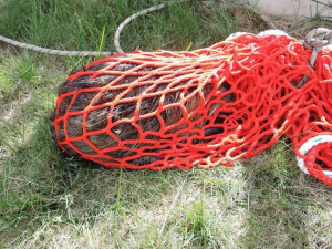 Nutrii vytáhli z požární nádrže až hasiči, sama by se ven nedostala.