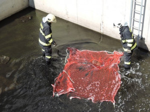 Nutrii vytáhli z požární nádrže až hasiči, sama by se ven nedostala.