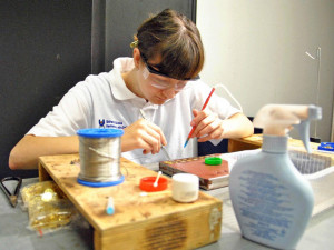 Křehká krása 2017.