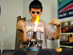 Křehká krása 2017.