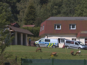 Tragédie na okraji Liberce. Muž měl ubodat svou známou, poté se sám oběsil.