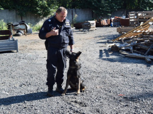 Policisté odhalili čtyři nelegálně zaměstnané cizince ve výrobně ve Frýdlantu.