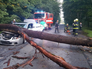 FOTO: Na projíždějící auto spadl strom. Jako zázrakem se nikomu nic nestalo