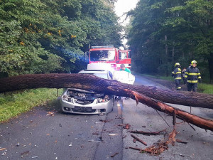 Na auto spadl strom.