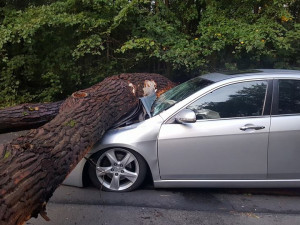 Na auto spadl strom.