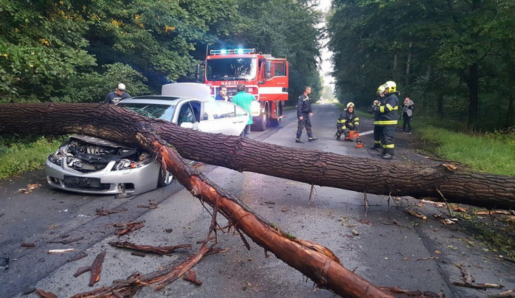 Na auto spadl strom.