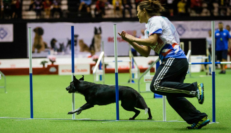 Tereza Králová a Explosive Essay - vítězky European Open 2016 (Mistrovství Evropy)