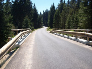 Lesní cesta Bedřichovská