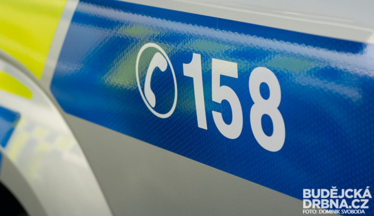 Policie převzala do útulku psa, kterého muž pověsil na plot