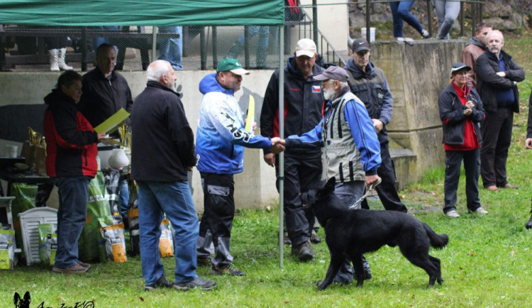O liberecký pohár v Pavlovicích soutěžily čtyři desítky služebních psů z celého Česka