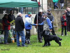 O liberecký pohár v Pavlovicích soutěžily čtyři desítky služebních psů z celého Česka