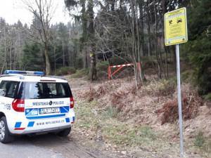 Strážníci odhalili u frýdlantského zámku kradené auto, upoutala je otevřená kapota a bahno na kapotě