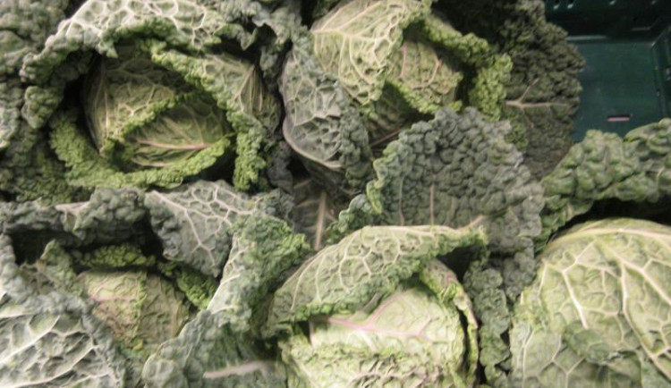 Kapusta v libereckém Kauflandu obsahovala nadlimitní množství pesticidu.