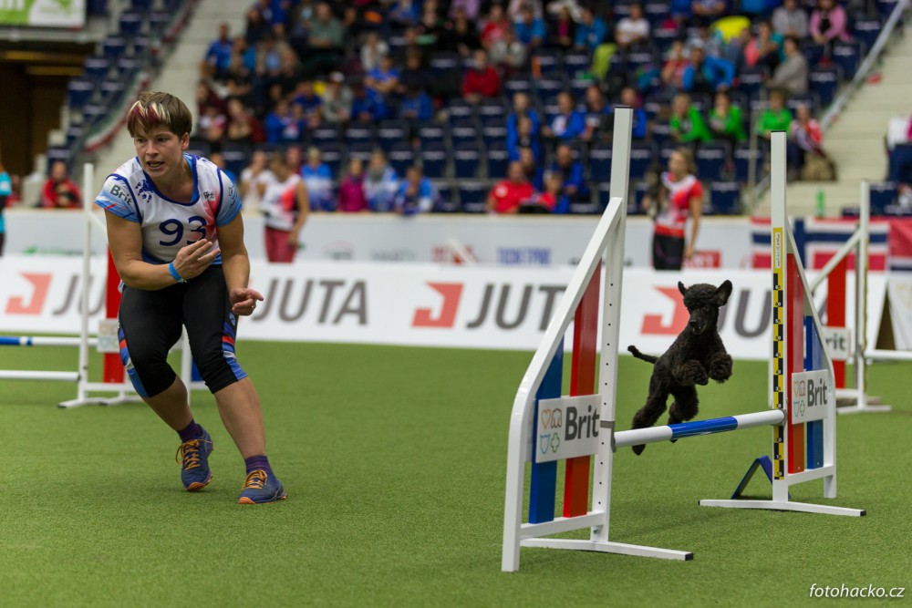 FOTO Home Credit Aréna patřila psům. Liberec hostil mistrovství světa