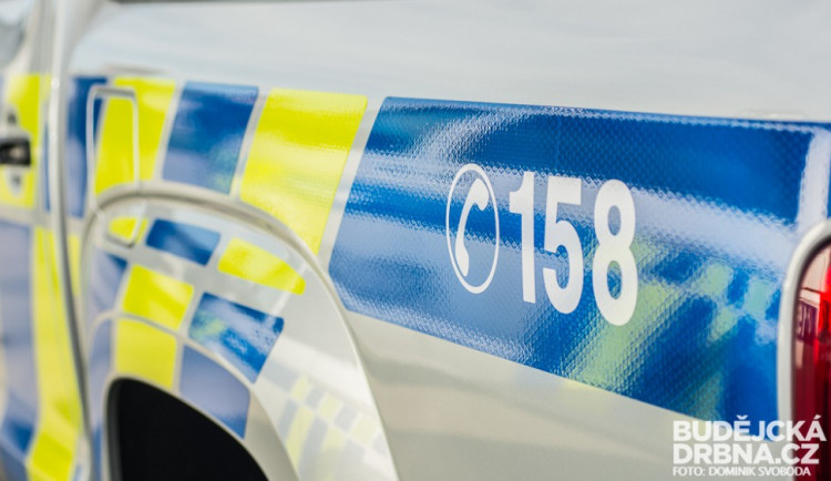 Řidič nezvládl u Lišova průjezd zatáčkou a srazil na pastvině krávu