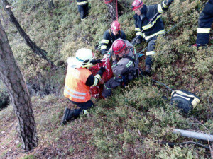 Lezecká skupina hasičů zachraňovala fenku, která se zřítila ze šestimetrové výšky