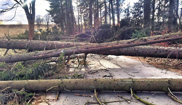 Hasiči zasahují po celém kraji. Vítr způsobuje vícečetná poškození