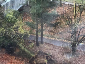 Silný vítr dorazil do Libereckého kraje.