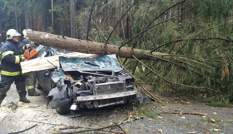 Strom spadl na auto v Kuřivodech.
