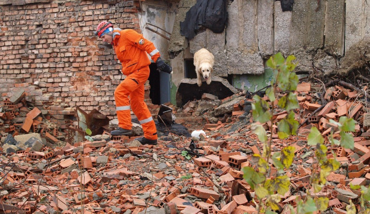 Pavel Málek s Charliem při závodě.