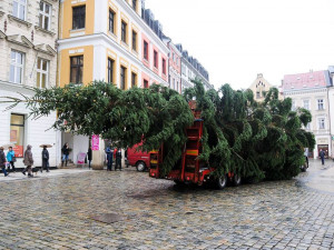 Vánoční strom dorazil na náměstí. Zítra se začne s jeho zdobením.