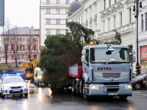 Vánoční strom dorazil na náměstí. Zítra se začne s jeho zdobením.
