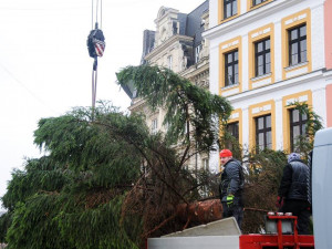 Vánoční strom dorazil na náměstí. Zítra se začne s jeho zdobením.