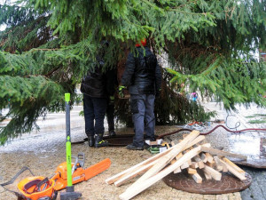 Vánoční strom dorazil na náměstí. Zítra se začne s jeho zdobením.