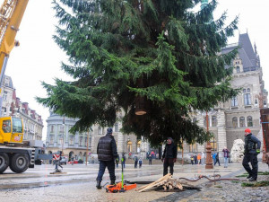Vánoční strom dorazil na náměstí. Zítra se začne s jeho zdobením.