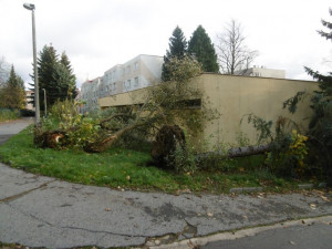 Vichřice Herwart způsobila na městské zeleni škody za skoro 800 tisíc korun, zhruba 80 stromů popadalo
