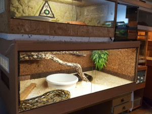 Jeden z bratrů měl neobvyklého koníčka