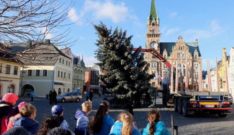 Vánoční stromy už stojí i v dalších městech. V Jablonci mají místo smrku jedli