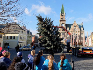Vánoční stromy už stojí i v dalších městech. V Jablonci mají místo smrku jedli