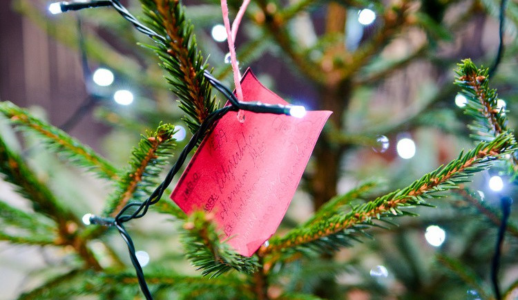 Na nádvoří radnice už stojí vánoční strom přání. Dvaceti lidem je magistrát splní
