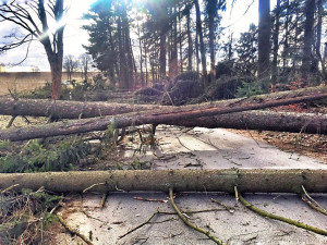 Meteorologové rozšířili výstrahu před silným větrem také pro Liberecko