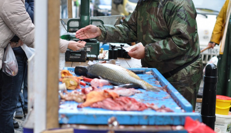 ilustrační foto; prodej kaprů.