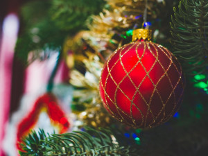 Vánoční stromek zavoní, nebo také ne