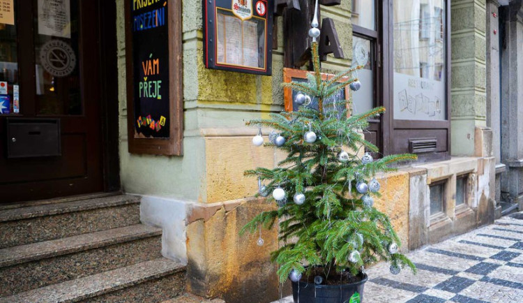 Vítězný stromek před Baladou.