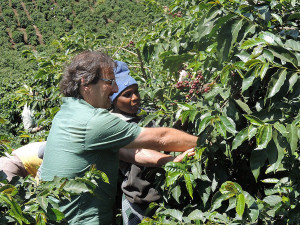 Vášnivé milovníky skvělé kávy, ale i obyčejné popíječe domácího kafíčka určitě zaujme káva Estian. Je pražena světovými pražiči a nabízí tak jedinečnou chuť v mnoha variantách.