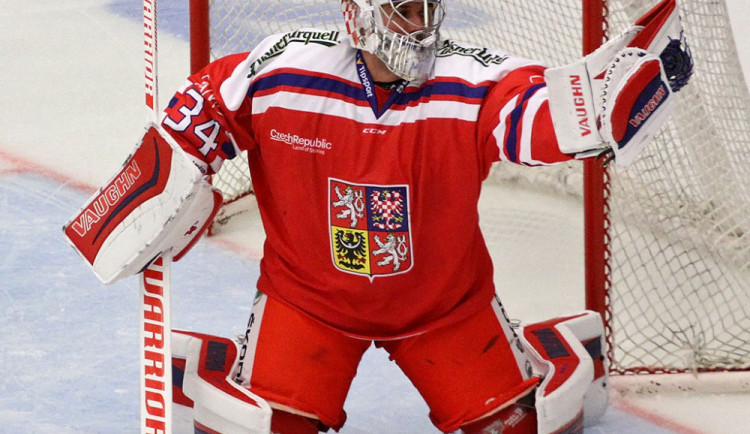Pět jihočeských hokejistů pojede reprezentovat Česko na olympiádu do Pchjongčchangu