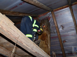 Ve Václavicích hořel komín usedlosti, hasičům komplikoval práci silný vítr.